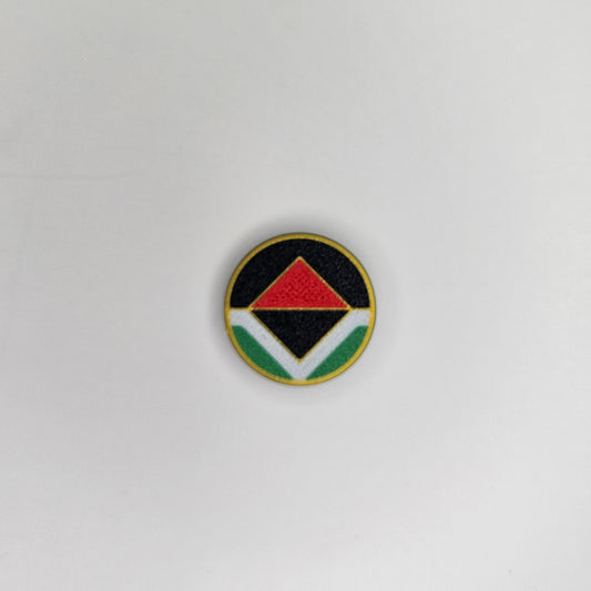 Palestine Flag x ReBoot Sprite Pin