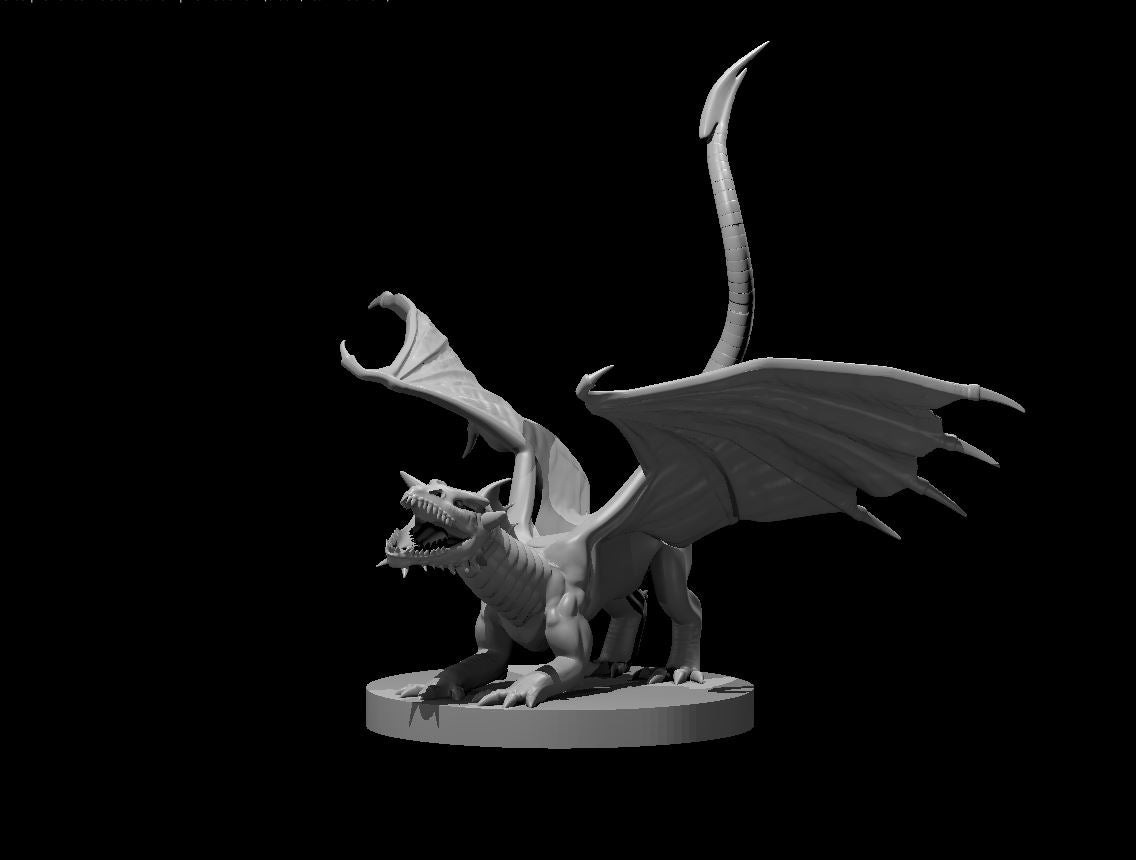 Dragon, Chromatic - Black (Various Ages and Poses) - MZ4250